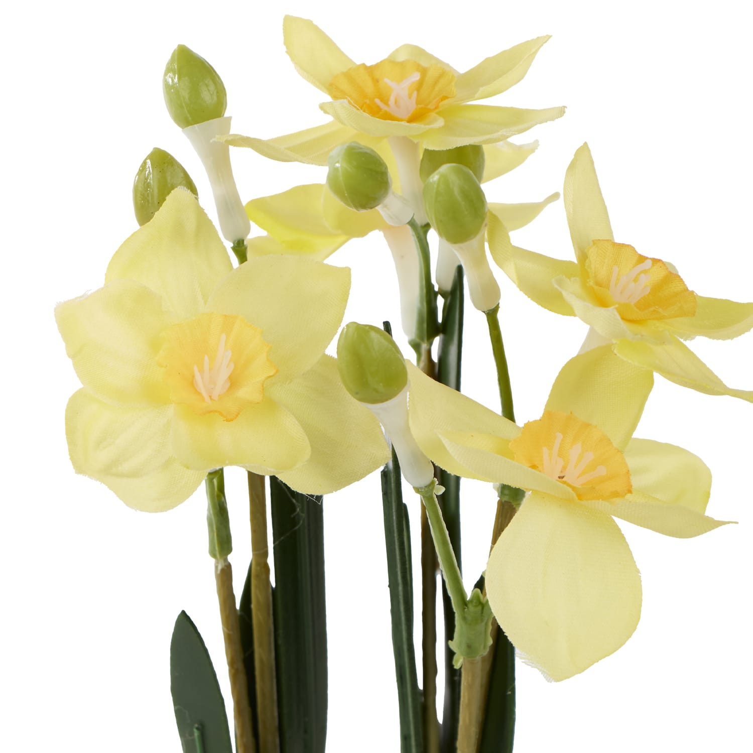 Home Collections Daffodil In Pot, product image 2