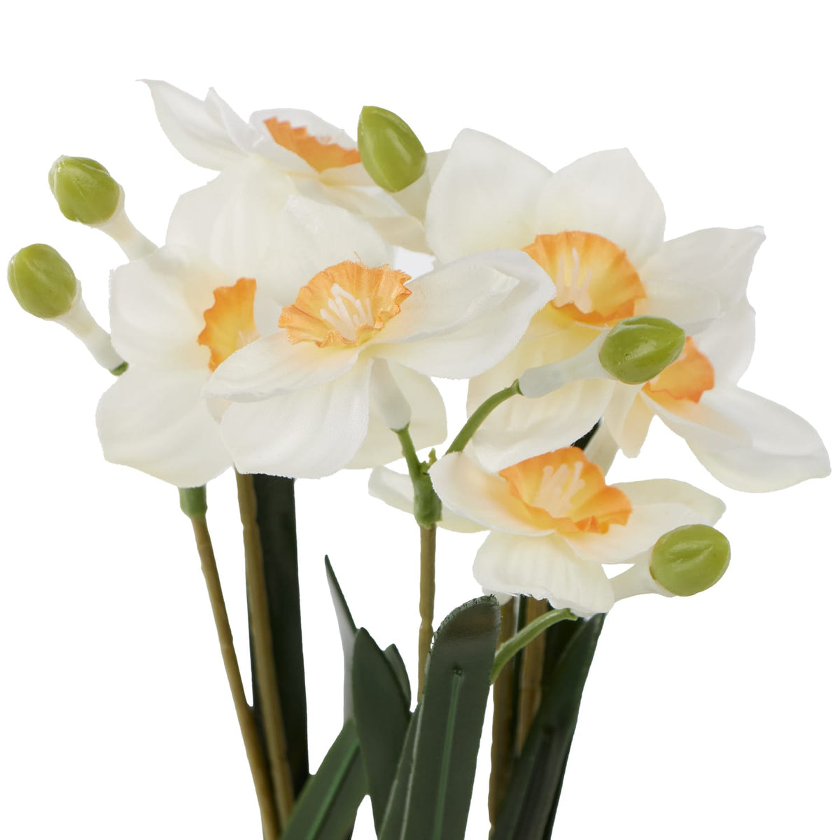 Home Collections Daffodil In Pot, product image 4